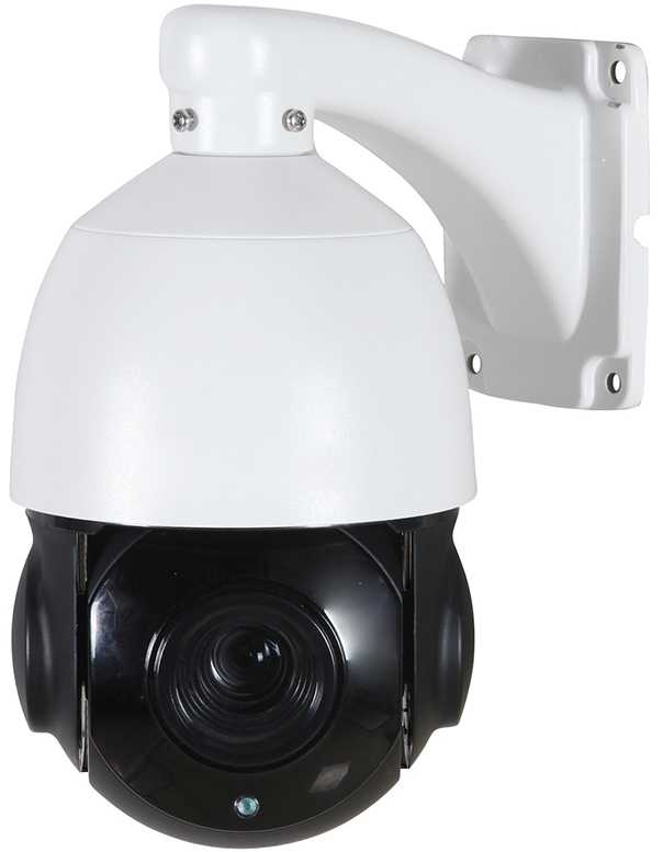AltCam DSDV21IR Камеры видеонаблюдения поворотные фото, изображение